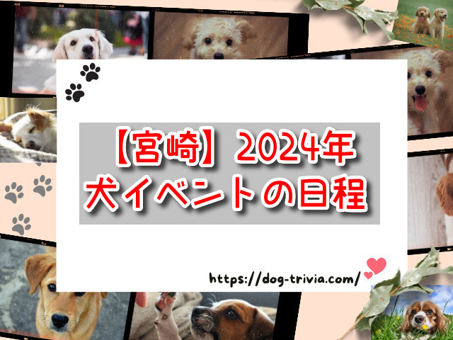 宮崎　犬イベント